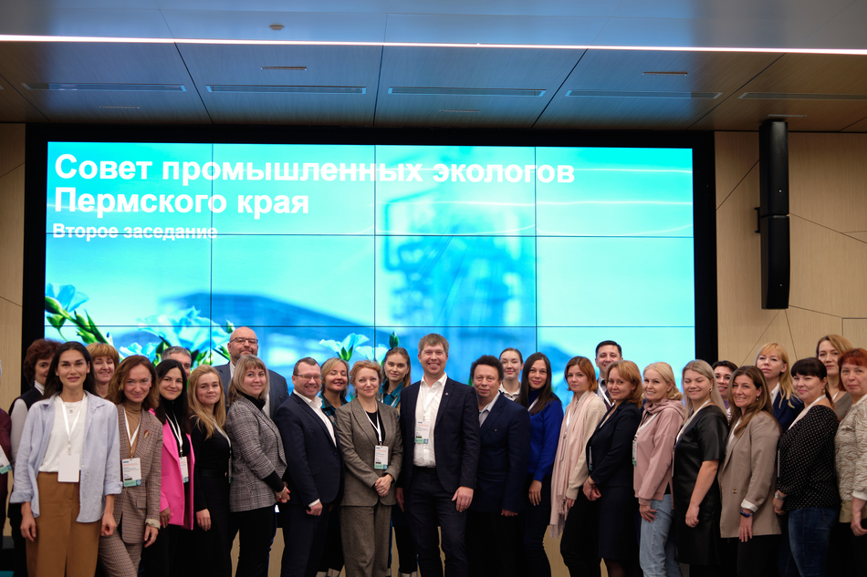 Joint Implementation of Environmental Initiatives